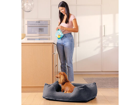 Intex Klein Opblaasbaar Hondenbed