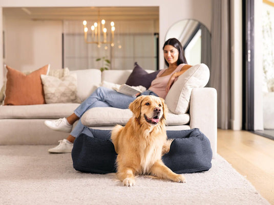 Intex Middelgroot  Opblaasbaar Hondenbed